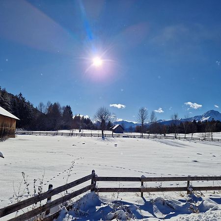 Appartement Bergsee Sun - Am Wildsee - Atemberaubende Aussicht 제펠드 인 티롤 외부 사진