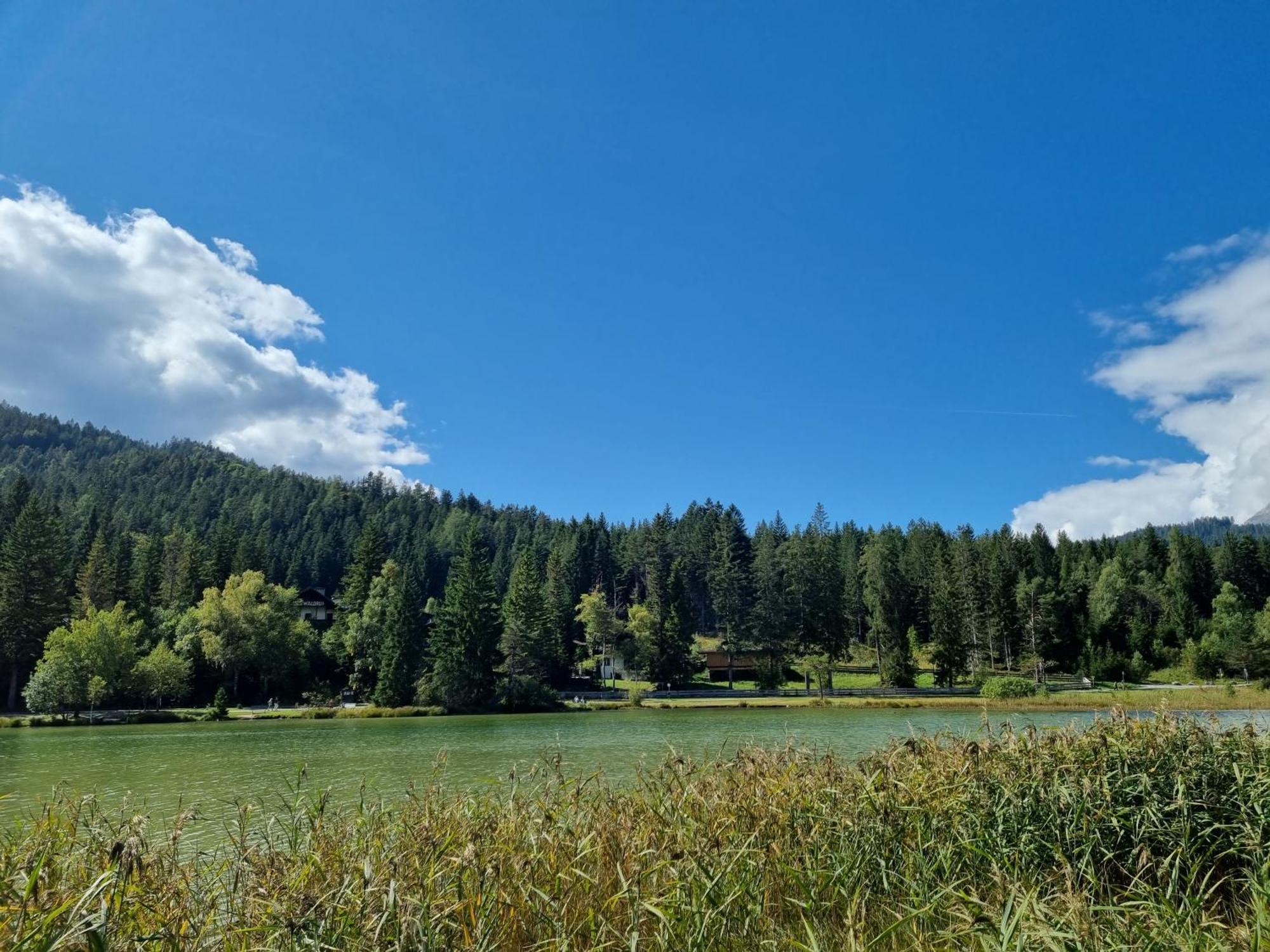 Appartement Bergsee Sun - Am Wildsee - Atemberaubende Aussicht 제펠드 인 티롤 외부 사진