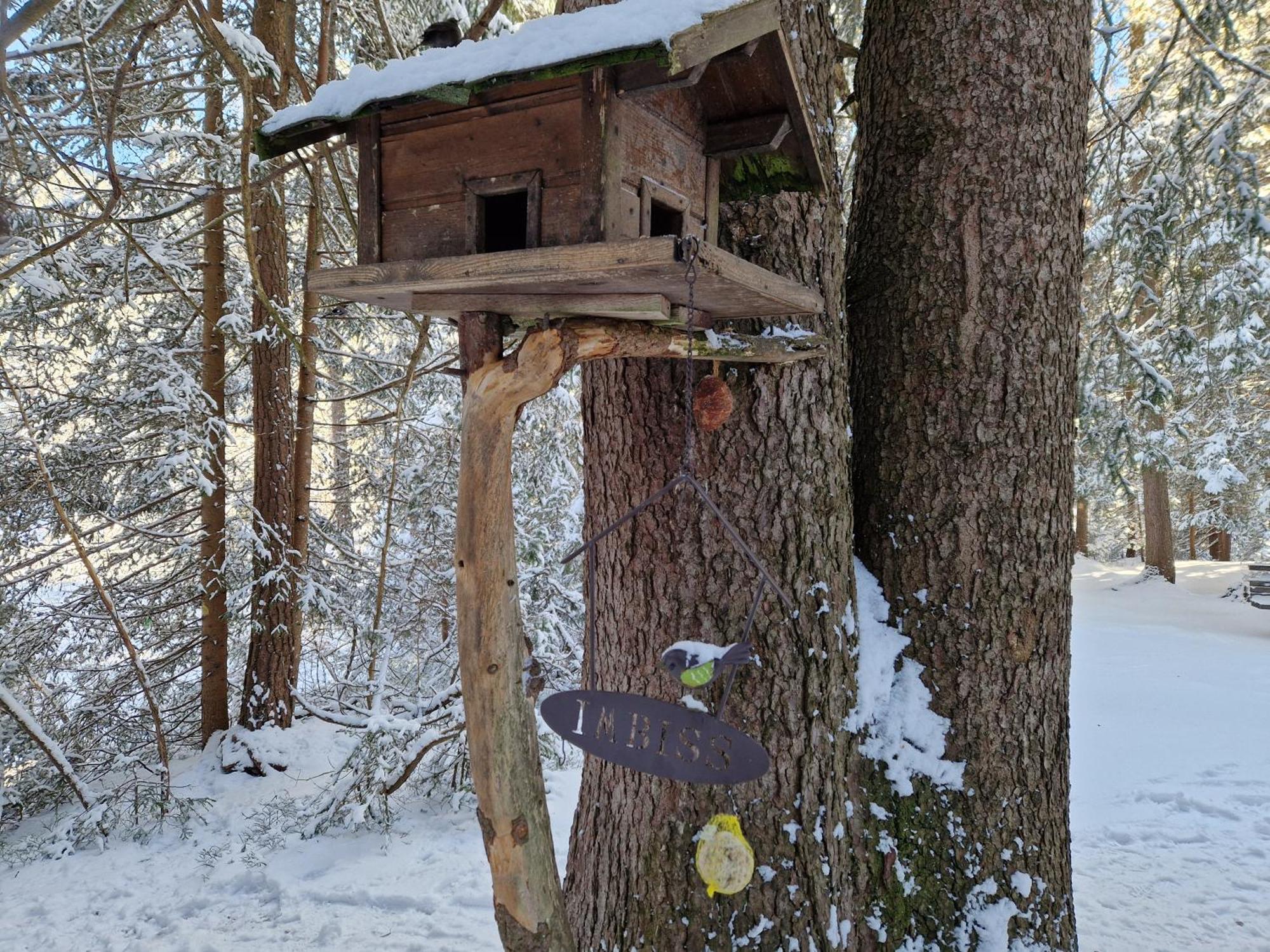 Appartement Bergsee Sun - Am Wildsee - Atemberaubende Aussicht 제펠드 인 티롤 외부 사진